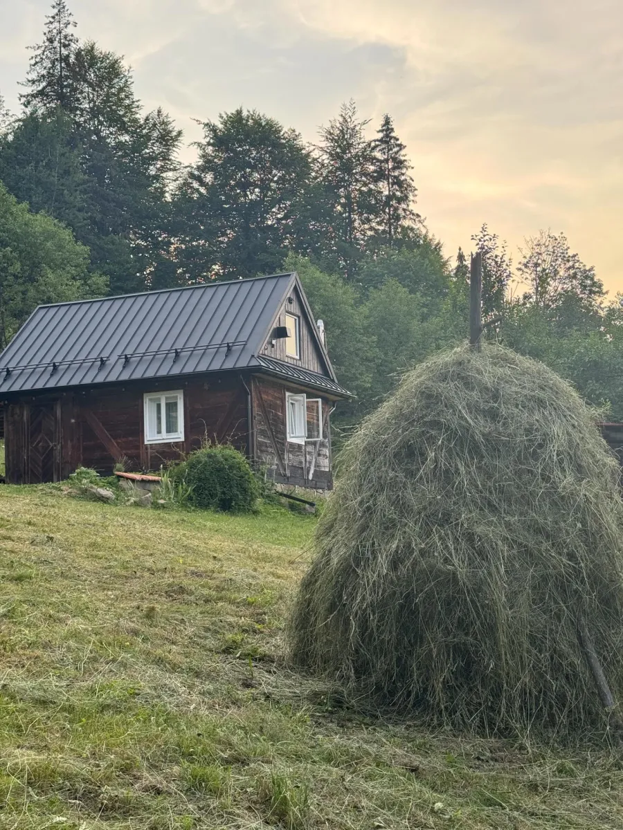 Відновлена дерев'яна хатина Тараса Ковальчука Поміж гір поруч із копицею сіна на схилі гори в Космачі.