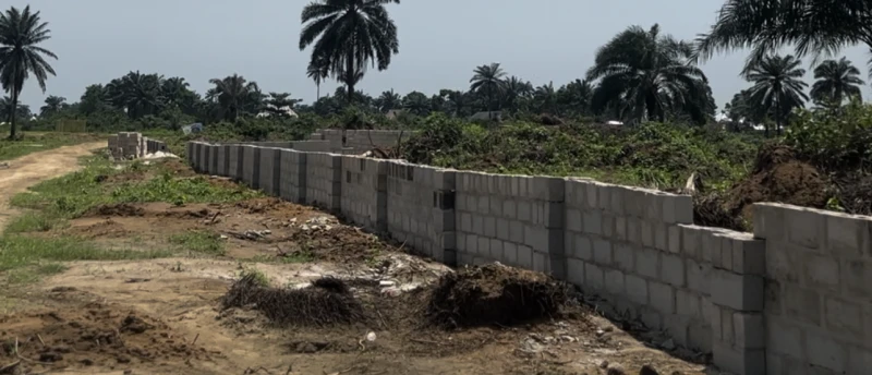 Land for Sale in Eneka, Rivers - Image 5
