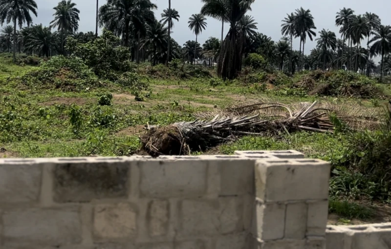Land for Sale in Eneka, Rivers - Image 4