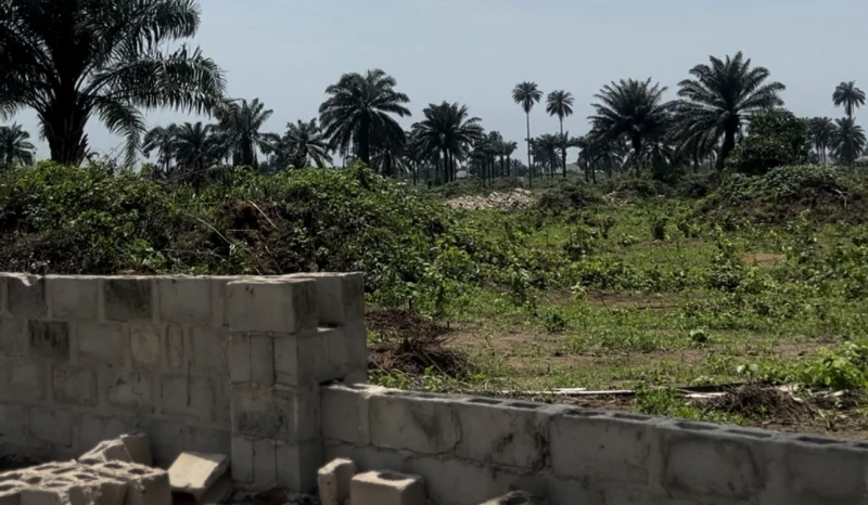 Land for Sale in Eneka, Rivers - Image 2