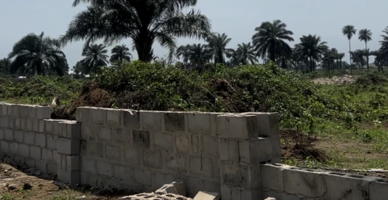 Land for Sale in Eneka, Rivers - Image 6