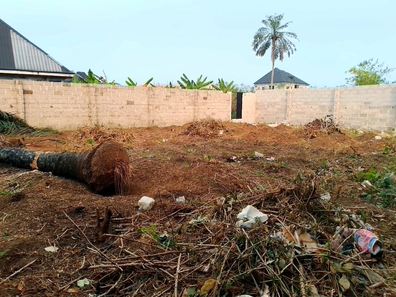 Land for Sale in A Plot at Igwuruta by Salvation Ministry Umuodukwu, Rivers - Image 2