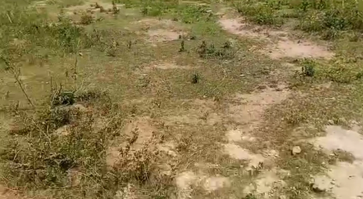 Land for Sale in Lugbe, FCT - Image 1