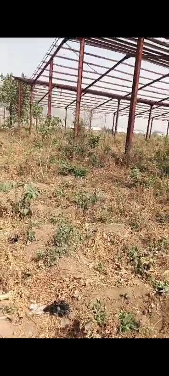 Land for Sale in Kagini junction, Kubwa express, FCT - Image 4