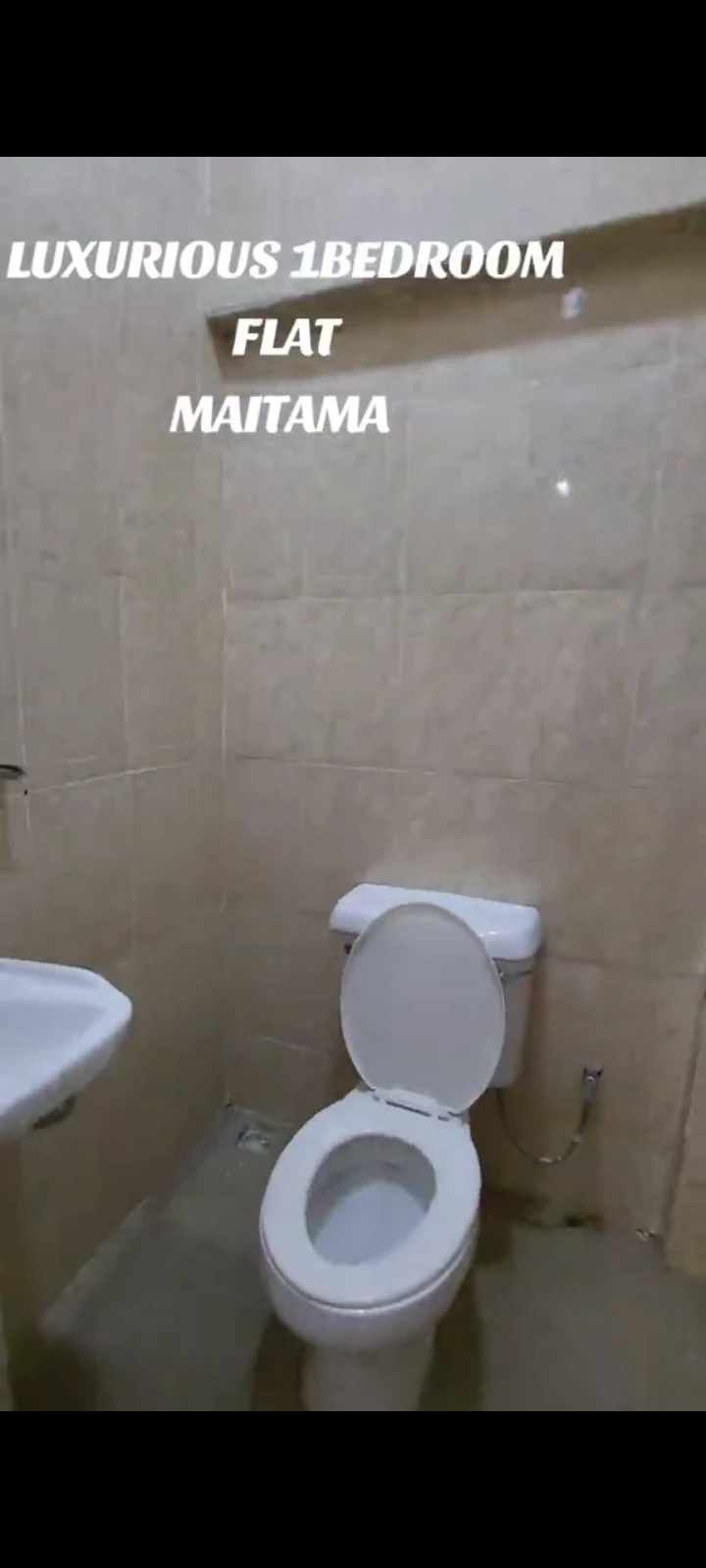 1 Bedroom Flat for Rent in Maitama, FCT - Image 5
