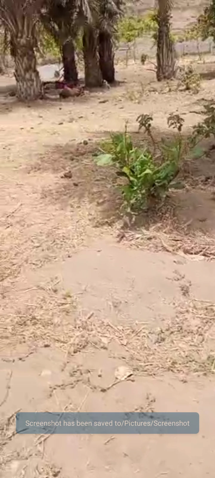 Land for Sale in Jikwoyi, FCT - Image 1