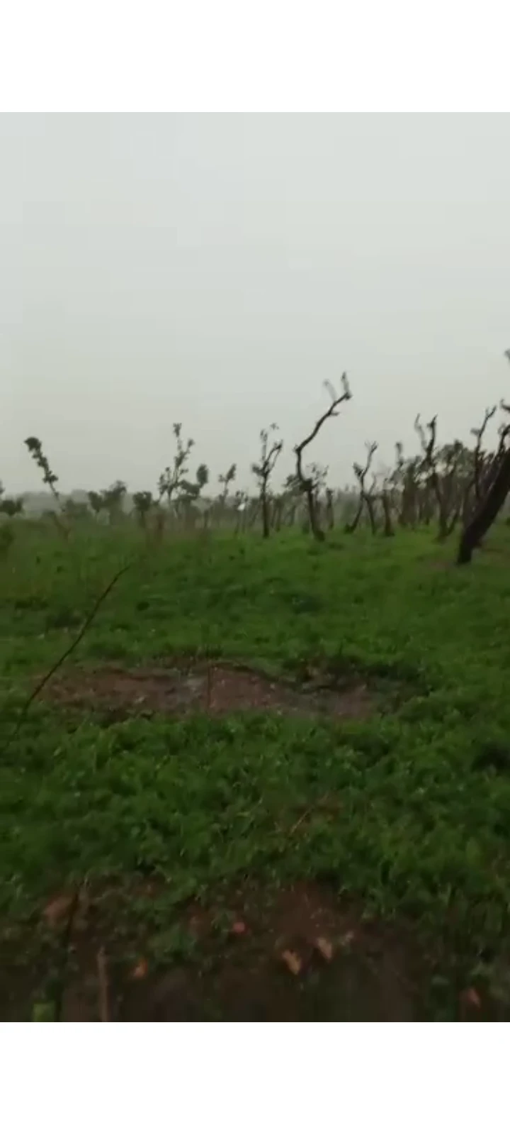 Land for Sale in Kagini, FCT cover picture