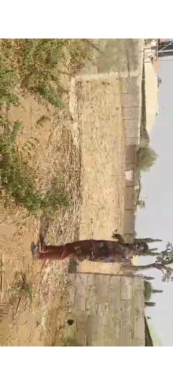 Land for Sale in Jikwoyi, FCT cover picture