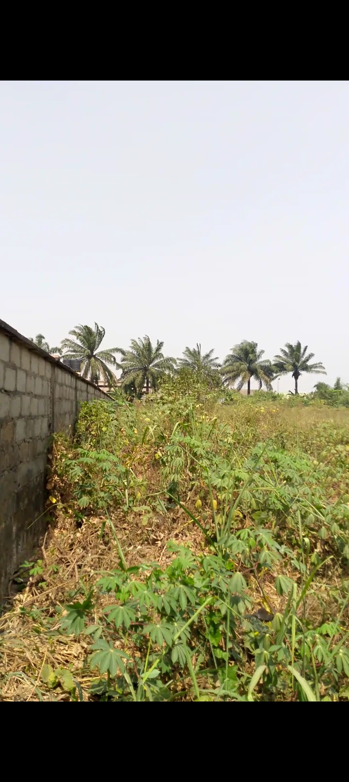 1 Bedroom Flat for Sale in Iguosa, Edo cover picture