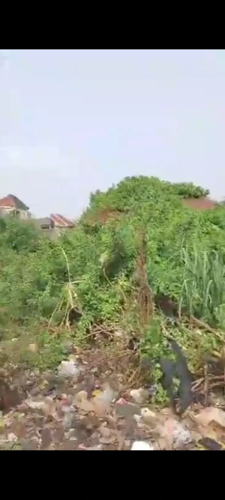 Land for Sale in Nnebisi by fmc, Delta - Image 2
