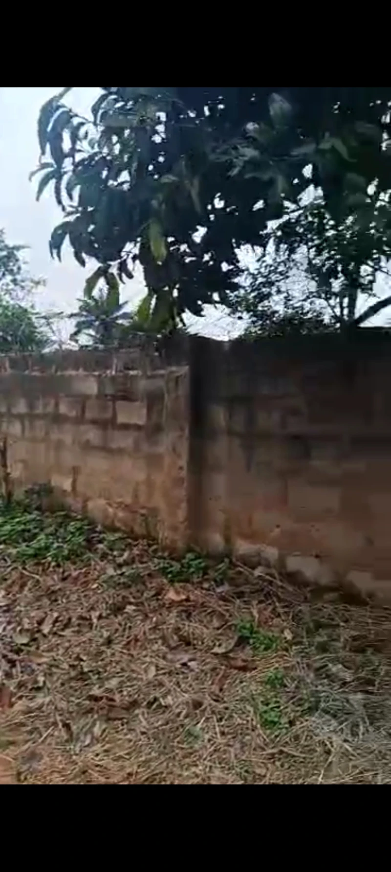 Land for Sale in Isuaniocha, Anambra - Image 1