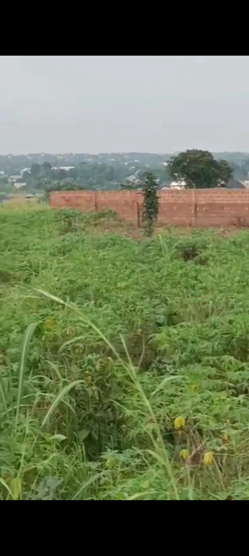 Land for Sale in Isuaniocha, Anambra - Image 2