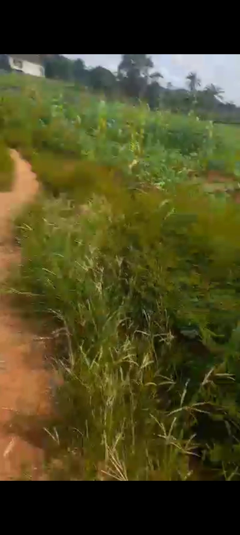 Land for Sale in Nawfia Express, Anambra - Image 2