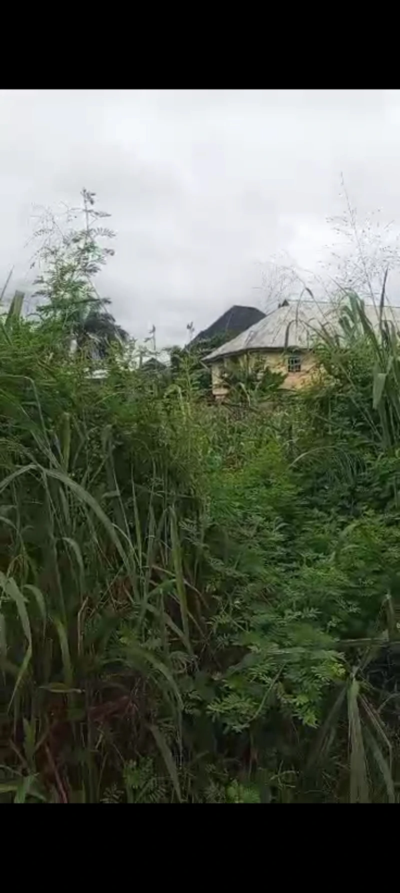 Land for Sale in Isuaniocha, Anambra - Image 1