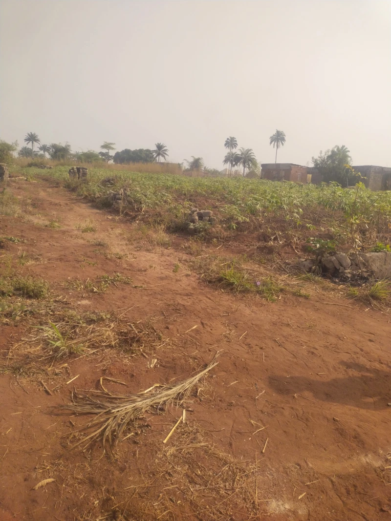 Land for Sale in Admiralty University, Delta - Image 1