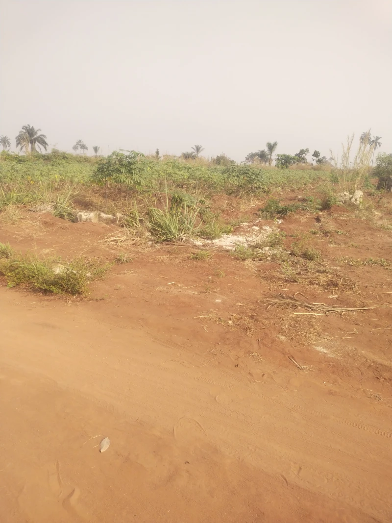 Land for Sale in Ibusa Road, Delta - Image 1