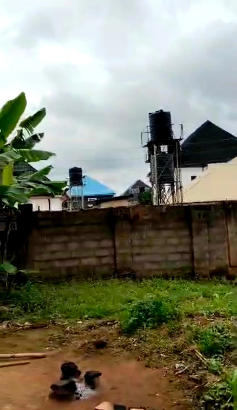 Land for Sale in Airport View Okpanam, Delta - Image 3