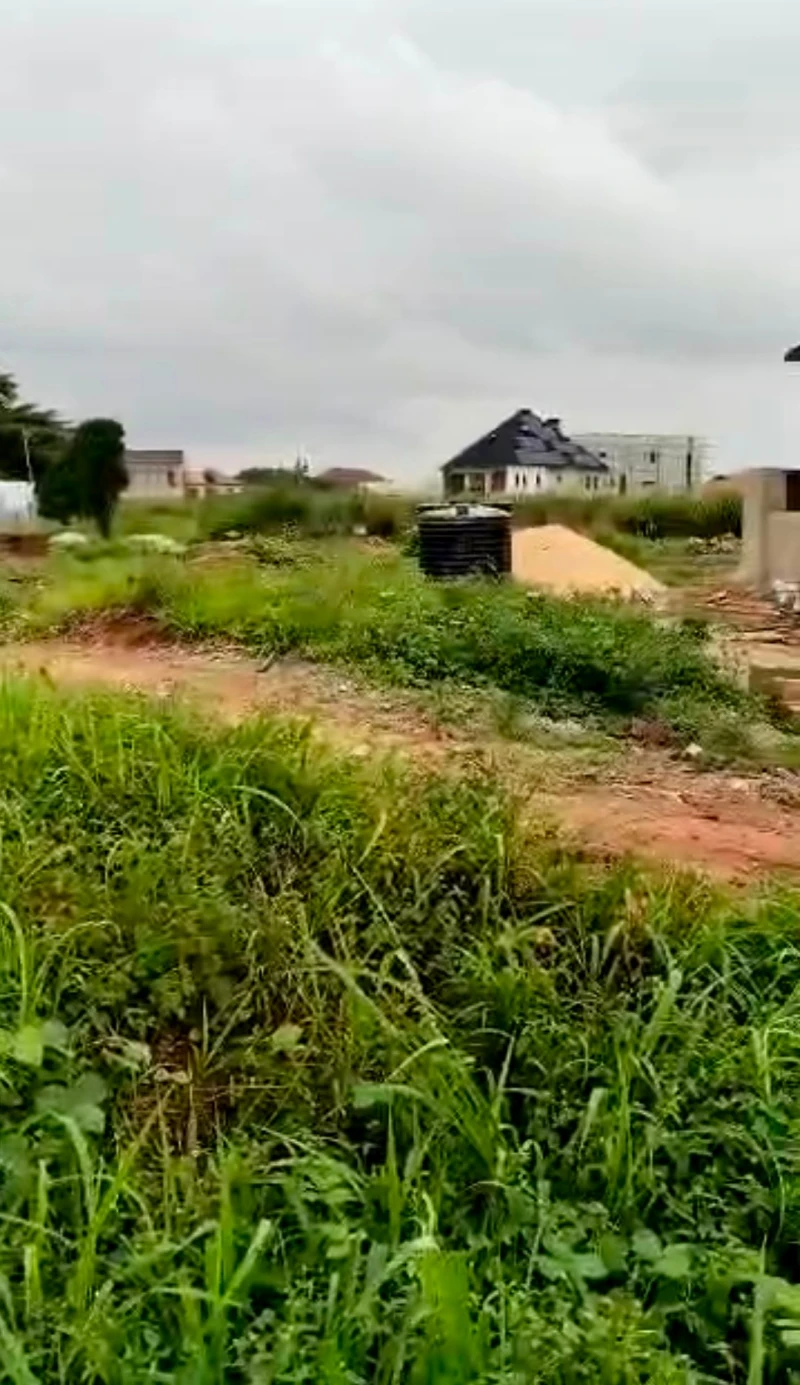Land for Sale in Estate in DBS road, Delta - Image 2