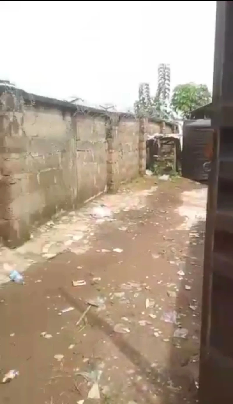 Land for Sale in Old by pass road, Delta - Image 3