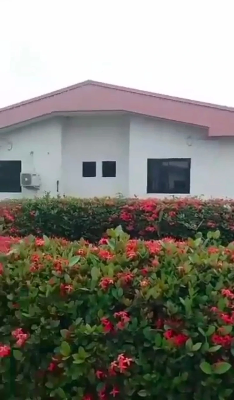 Estate for Sale in DBS road, Delta - Image 1