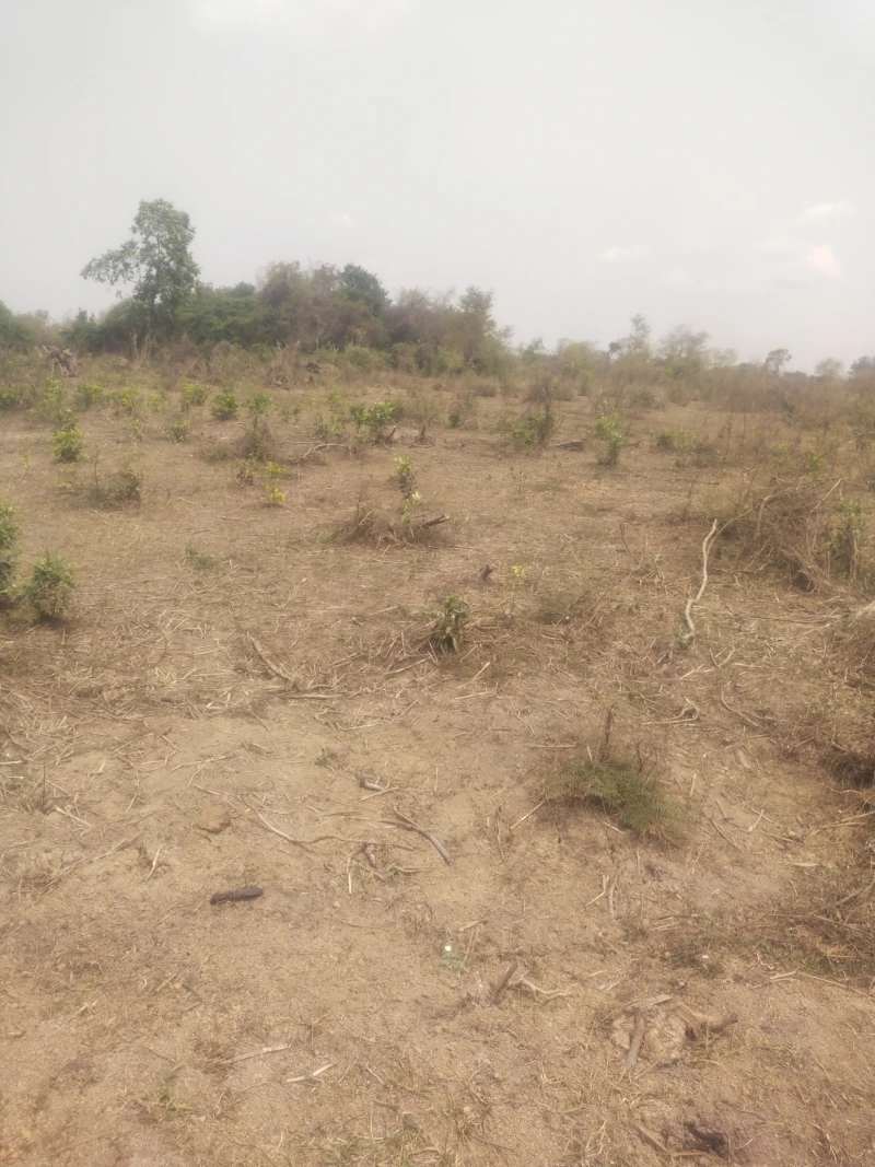Land for Sale in Warri, Delta - Image 1