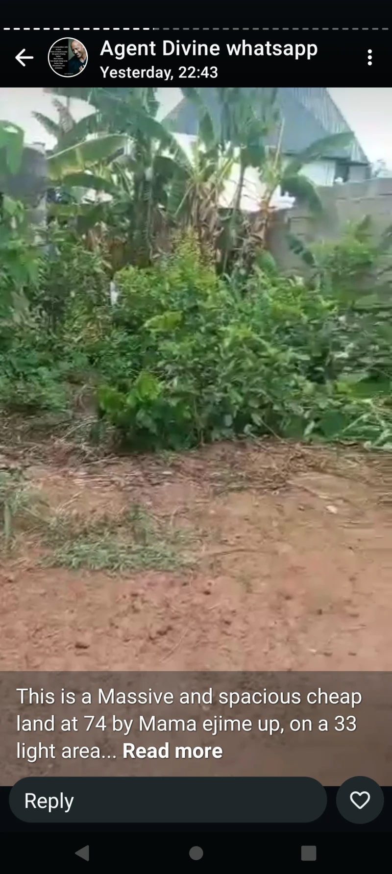 Land for Sale in 40 by 80 at 74 by mama Ejime, Delta - Image 3