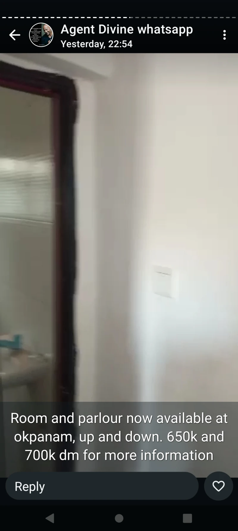 1 Bedroom Flat for Rent in Okpanam road, Delta - Image 4