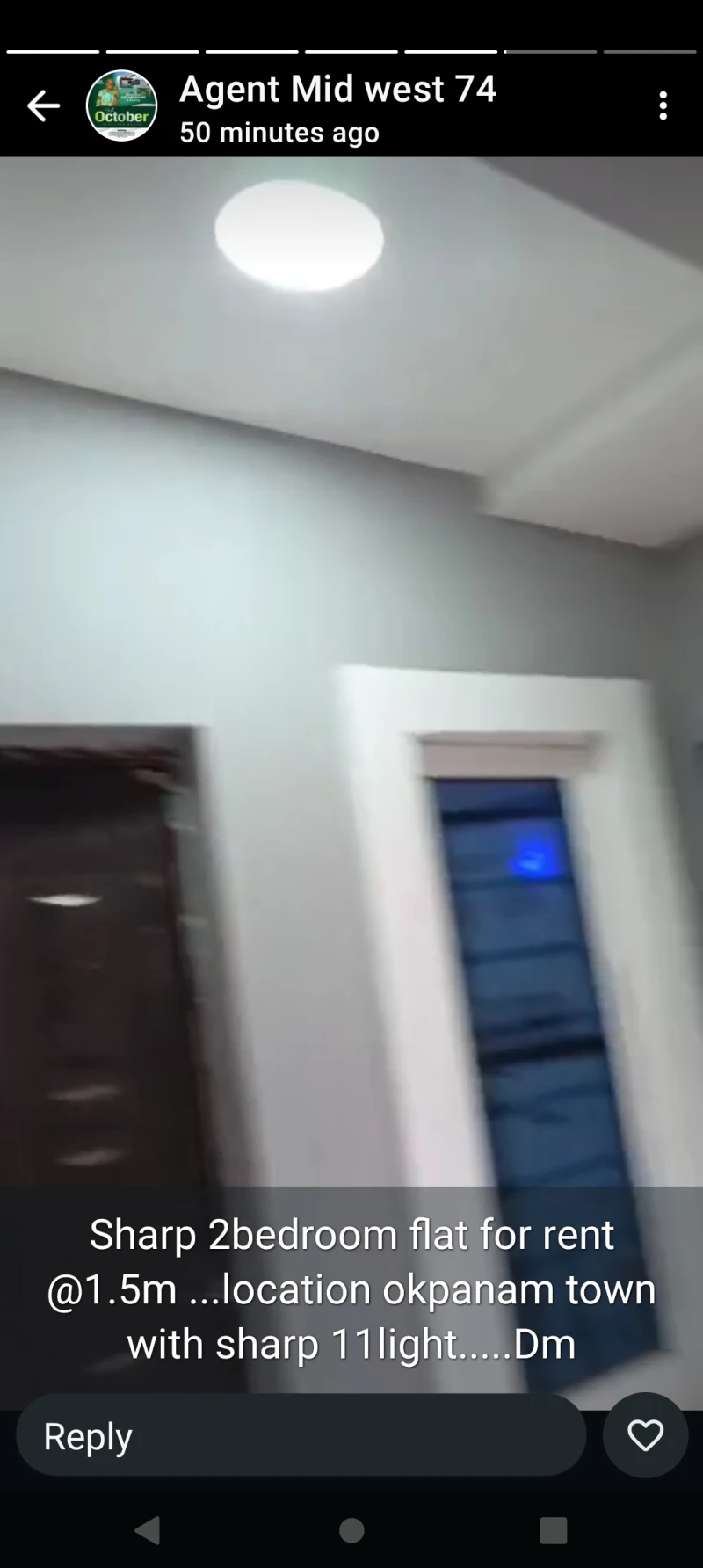 2 Bedroom Flat for Rent in Okpanam Town, Delta - Image 4