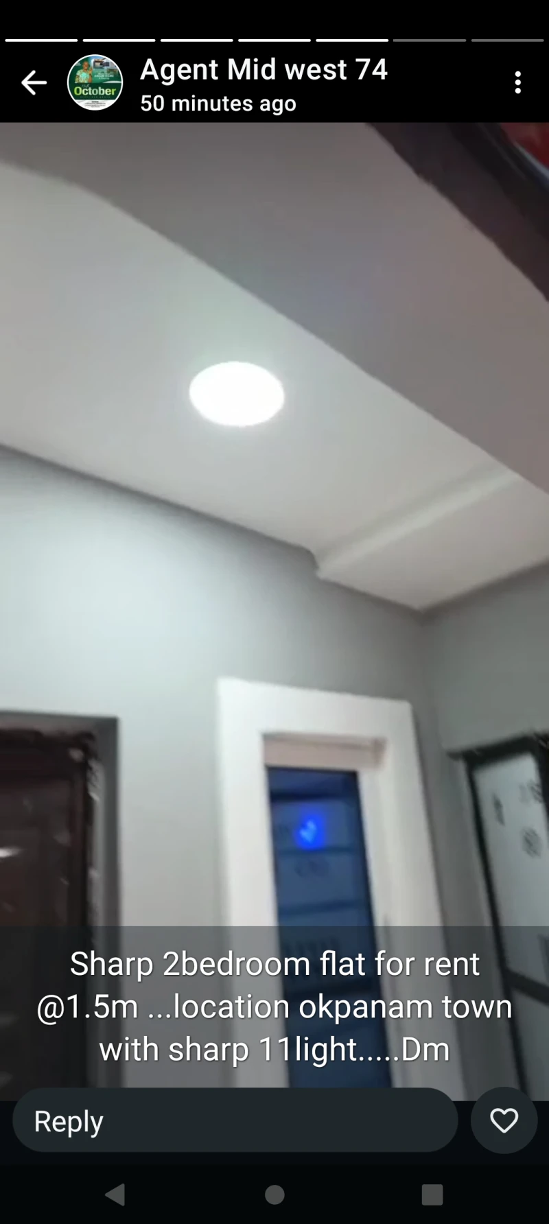 2 Bedroom Flat for Rent in Okpanam Town, Delta - Image 5