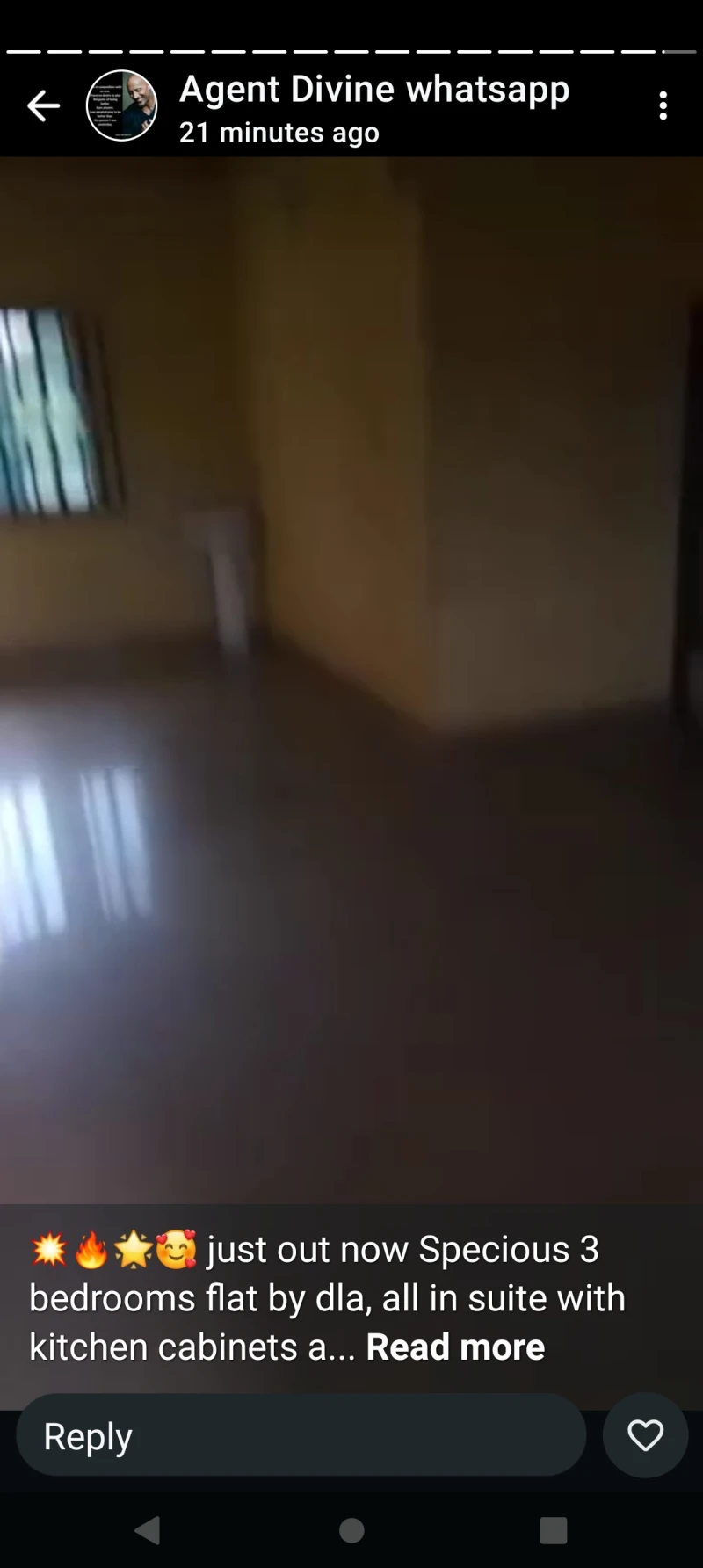3 Bedroom Flat for Rent in DLA, Delta - Image 3