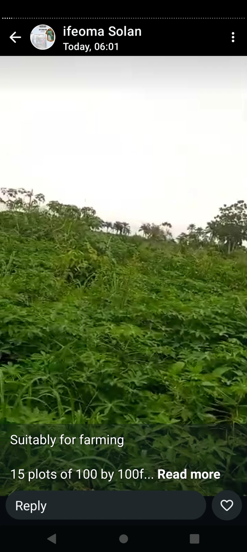 Land for Sale in 15 plots of 100 by 100 for farming at Issele kpitime, Delta - Image 1