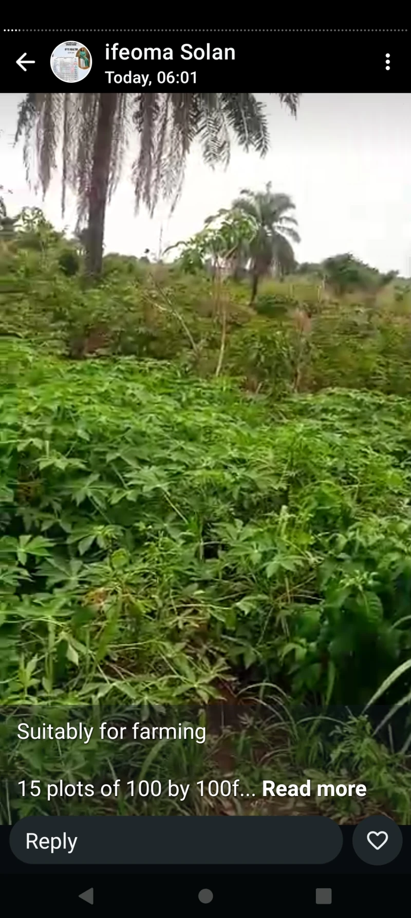 Land for Sale in 15 plots of 100 by 100 for farming at Issele kpitime, Delta - Image 2