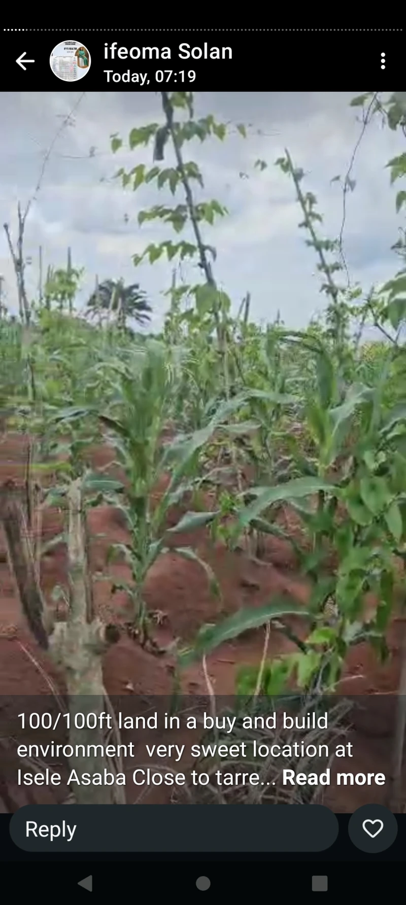 Land for Sale in 100 by 100 at Issele Azaba, Delta - Image 1