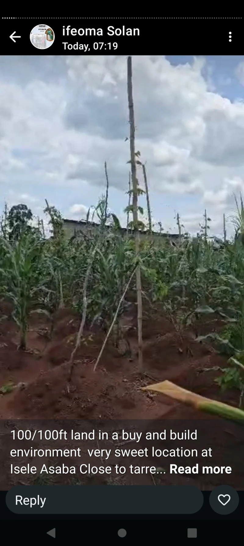 Land for Sale in 100 by 100 at Issele Azaba, Delta - Image 3