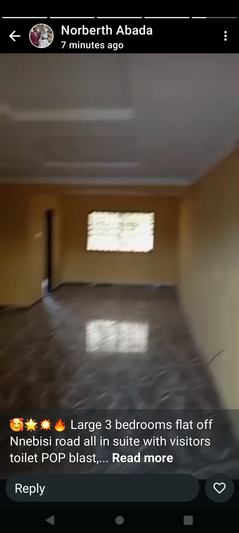 3 Bedroom Flat for Rent in Off Nnebisi road, Delta - Image 4