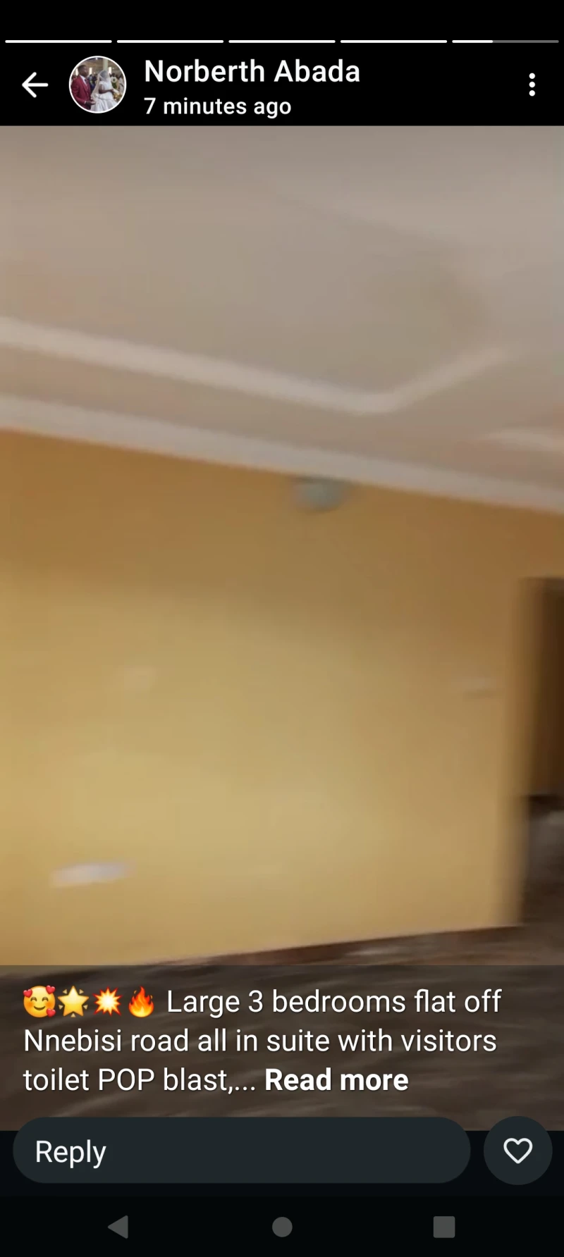 3 Bedroom Flat for Rent in Off Nnebisi road, Delta - Image 2