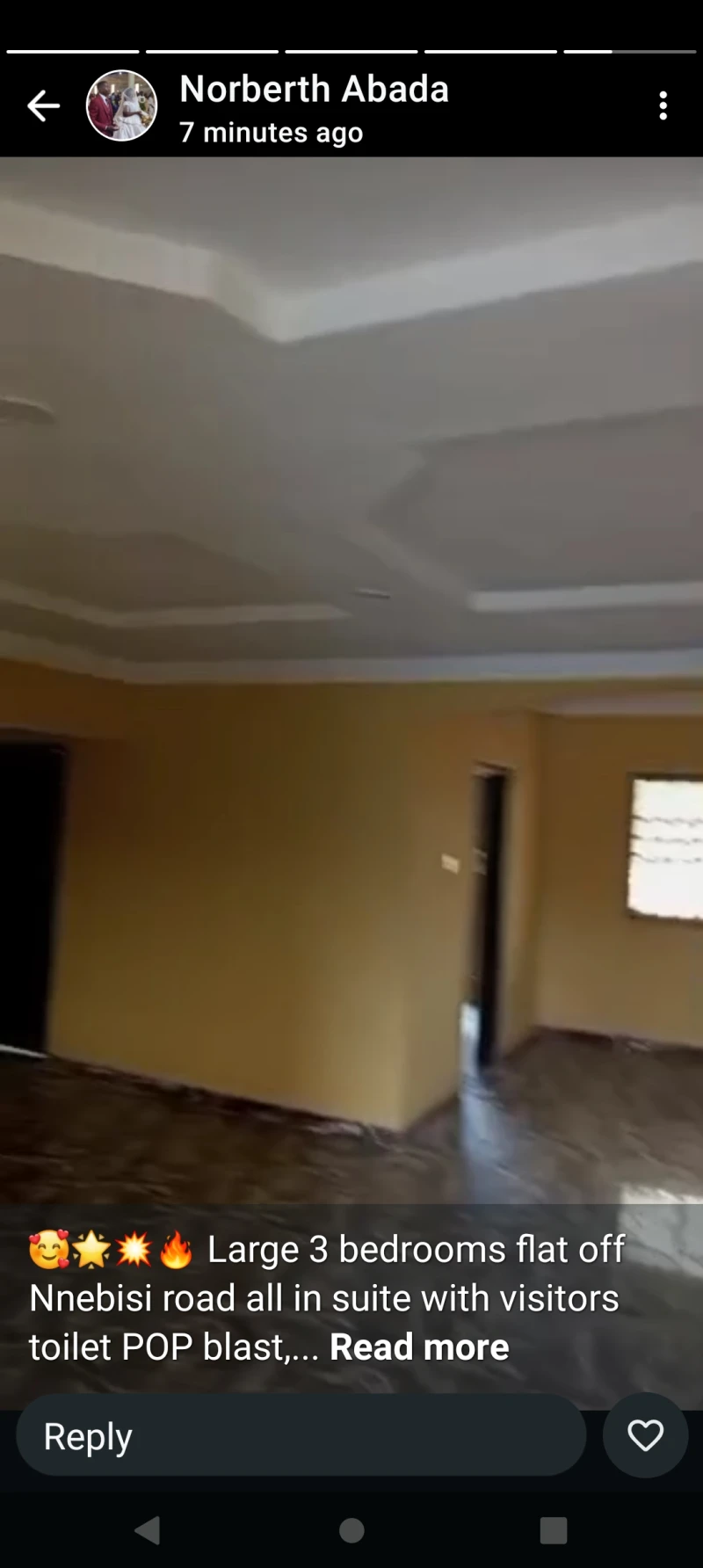3 Bedroom Flat for Rent in Off Nnebisi road, Delta - Image 3