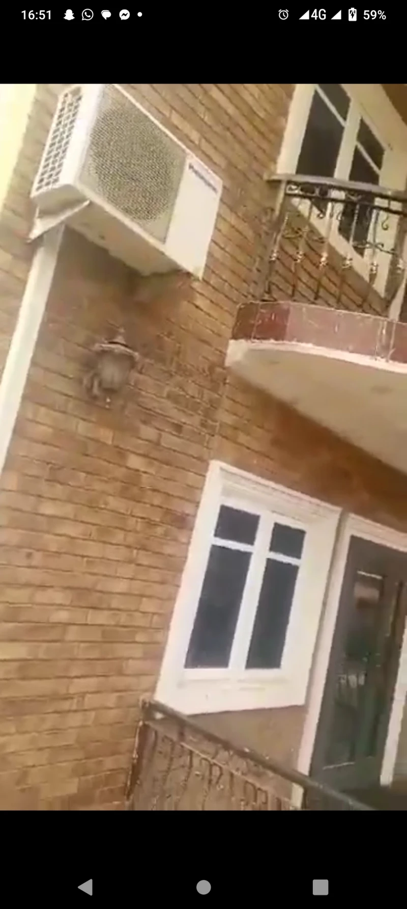 Duplex for Sale in Bonsac, Delta - Image 2
