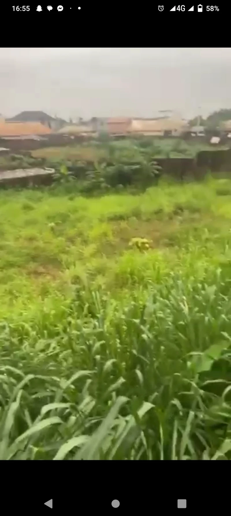 Land for Sale in Midwifery road, Delta - Image 2