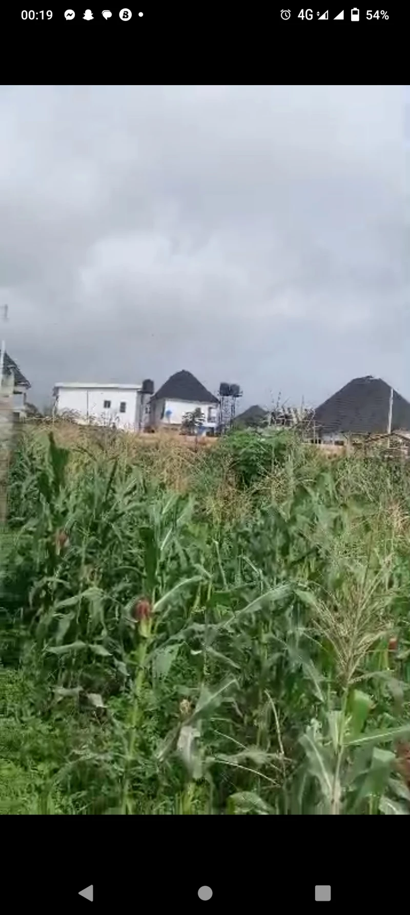Land for Sale in Rehoboth ibusa road, Delta - Image 4