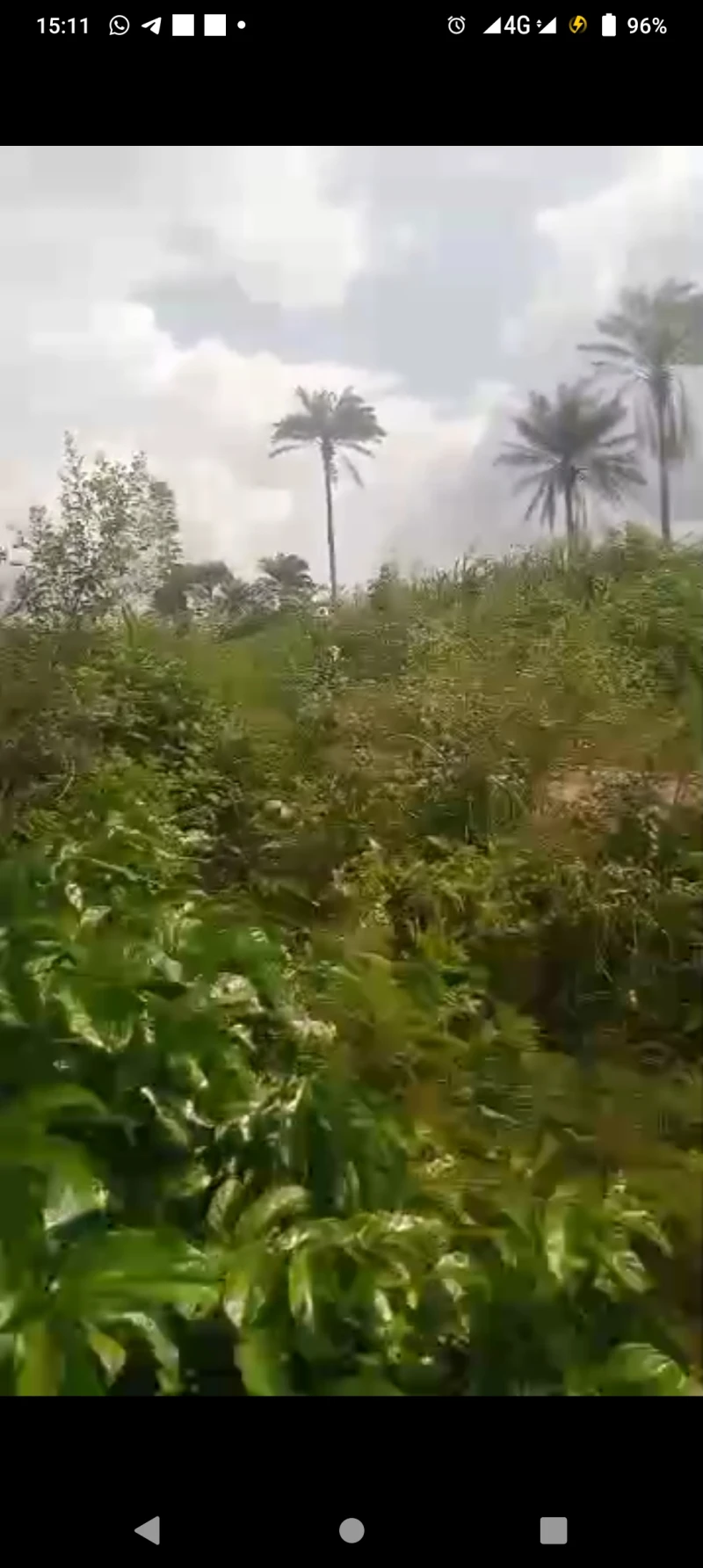 Land for Sale in Issele Azagba, Delta - Image 2