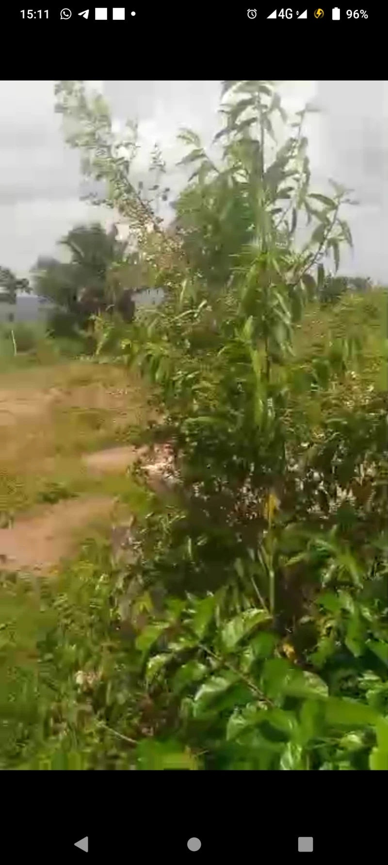 Land for Sale in Issele Azagba, Delta - Image 1