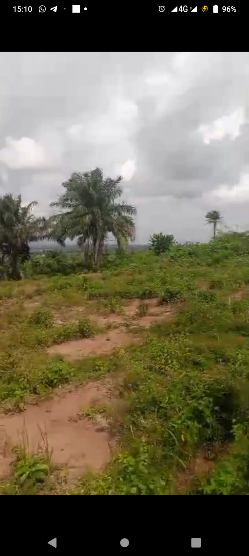 Land for Sale in Issele Azagba, Delta - Image 4