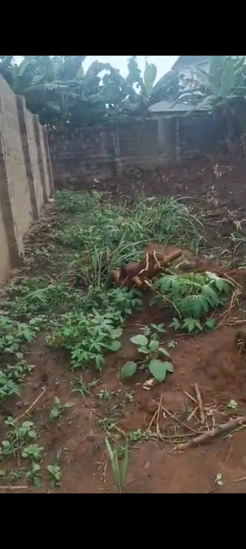 Land for Sale in New Heaven Estate, Anambra cover picture