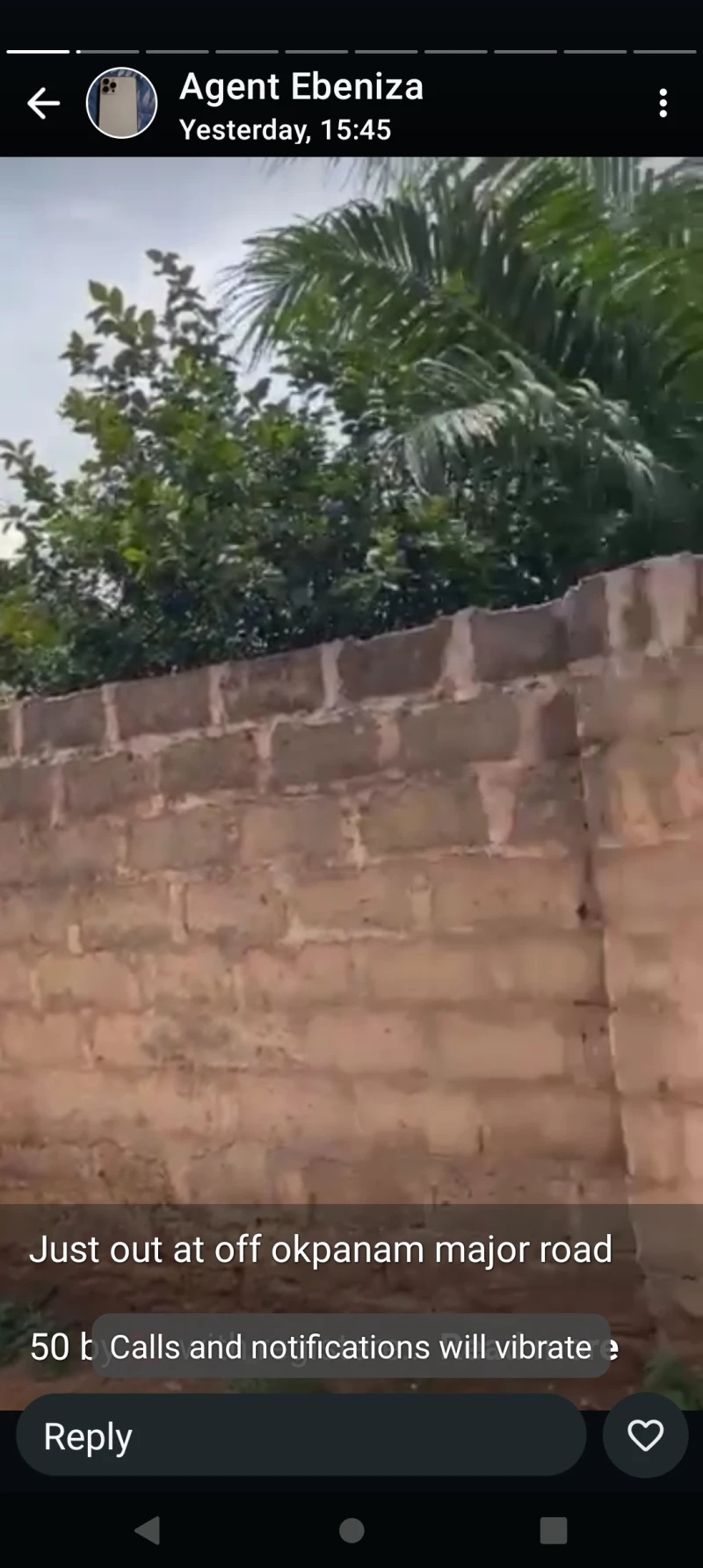 Land for Sale in Okpanam road, Delta cover picture