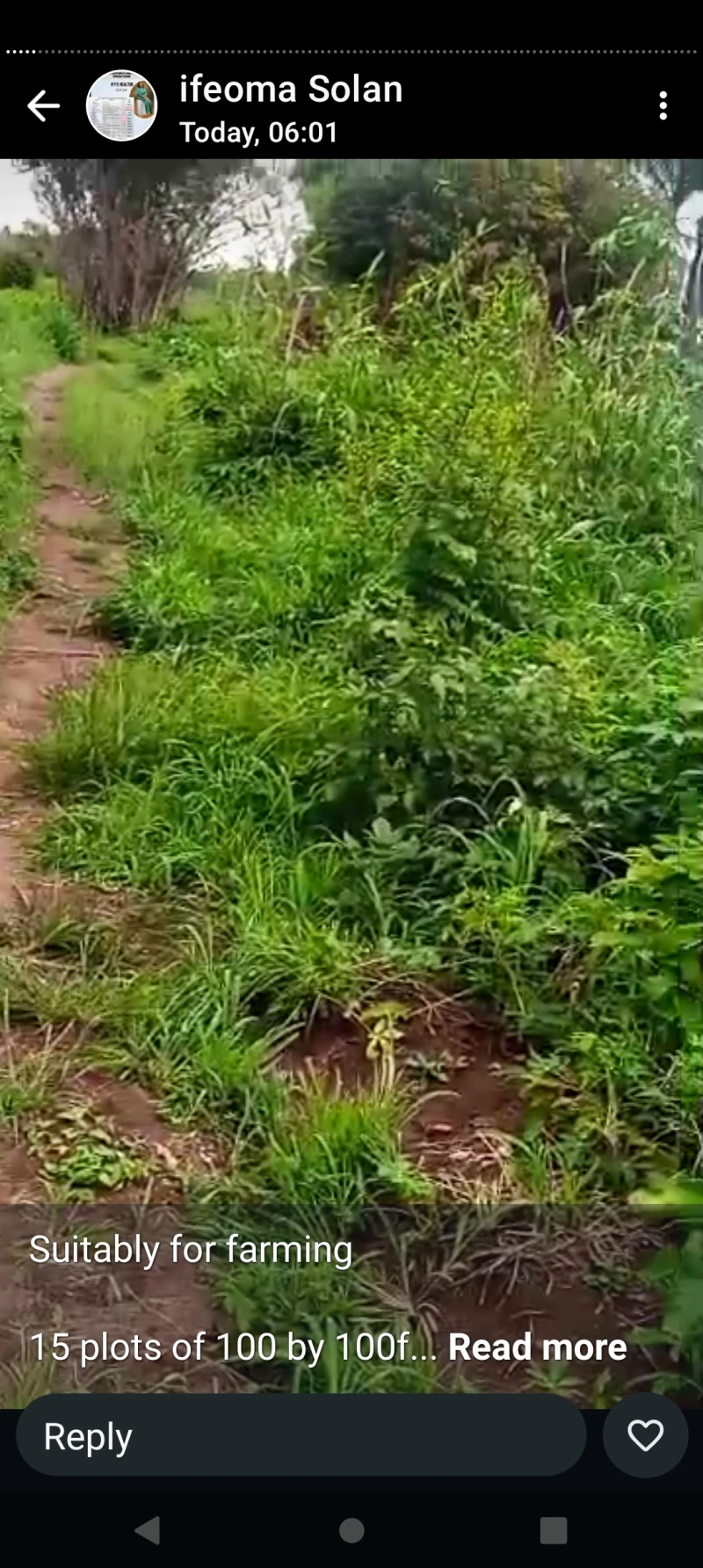 Land for Sale in 15 plots of 100 by 100 for farming at Issele kpitime, Delta cover picture