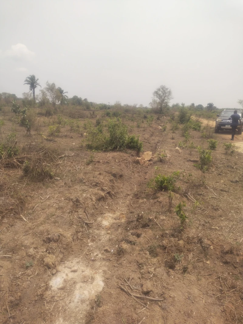 Land for Sale in Admiralty University, Delta