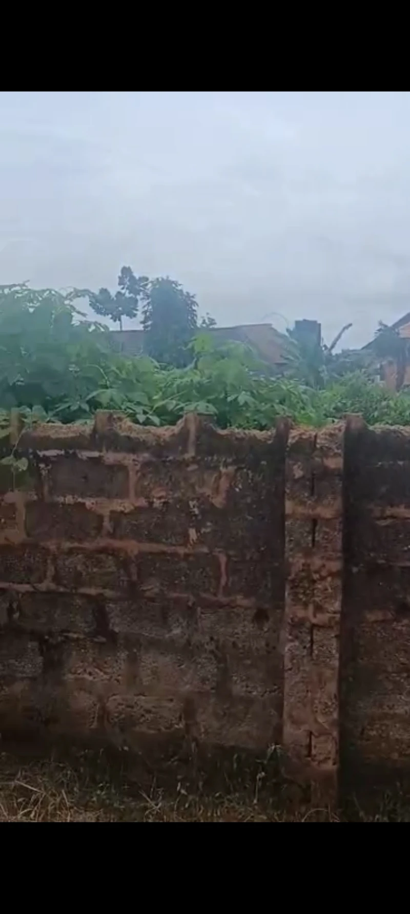 Land for Sale in Isuaniocha, Anambra cover picture