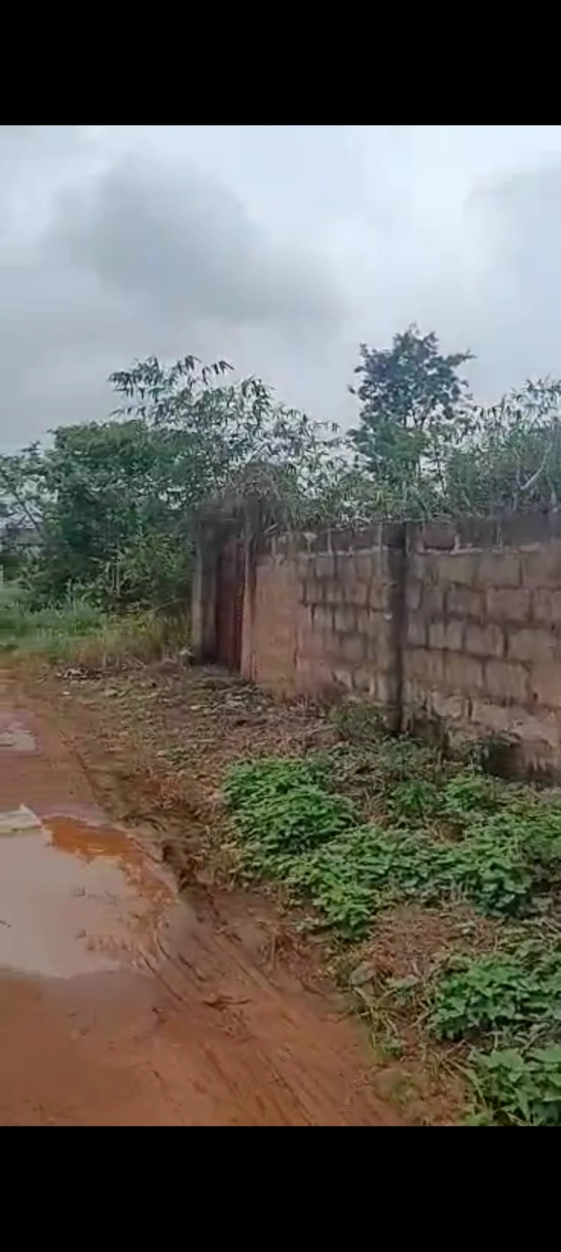 Land for Sale in Isuaniocha, Anambra cover picture
