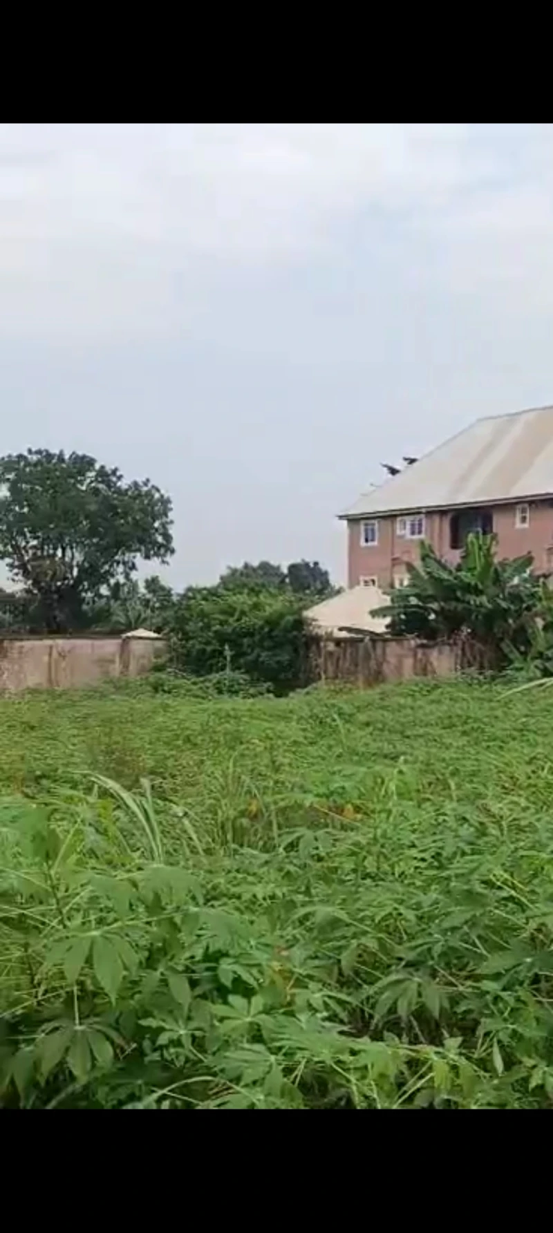Land for Sale in Isuaniocha, Anambra cover picture